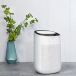 deshumidificador-cecotec-barato