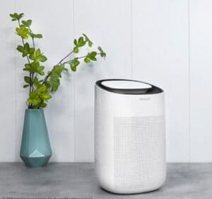 deshumidificador-cecotec-barato